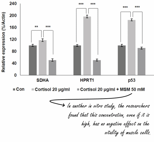 MSM for athletes | MSM is a cortisol blocker