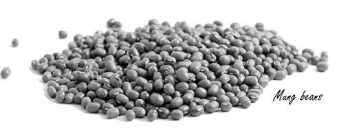 Why you should not underestimate the muscular benefits of bean protein