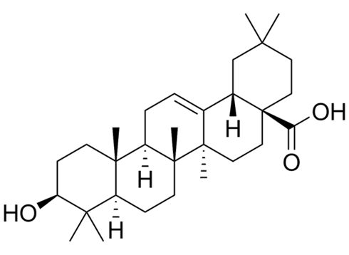 Chaga inhibits SARS-CoV-2 replication in lungs | Animal study