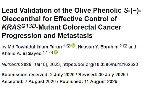 Oleocanthal, a phenol in olive oil, inhibits a fairly aggressive type of colon cancer in a way that left us speechless. This is evident from an American animal study published in Nutrients. It is extremely rare for a nutrient to reduce tumor growth by nearly 99 percent in laboratory animals.