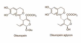 Oleuropein boosts testosterone level, lowers cortisol secretion, stimulates anabolism<