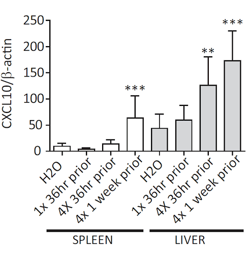 How OPCs boost antiviral defense