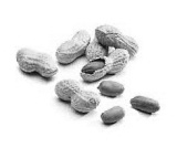 Peanuts don't make you fat