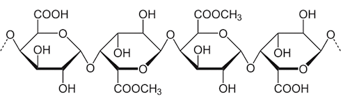 This is how you remove heavy metals from your body