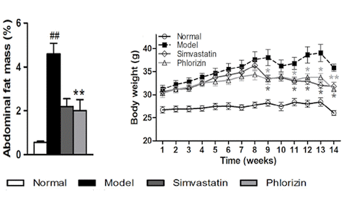 Phlorizin | A slimming aid in unripe apples