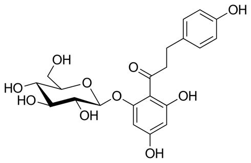 Phlorizin | A slimming aid in unripe apples?
