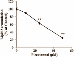 Taking a supplement that contains piceatannol, a metabolite of resveratrol, may reduce fat mass and increase lean body mass. We base this speculation on Asian in-vitro studies, which have shown that piceatannol inhibits the uptake of glucose by fat cells but stimulates its uptake by muscle cells.