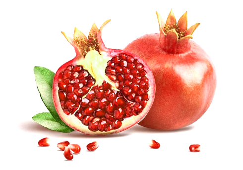 The antioestrogenic effect of pomegranate