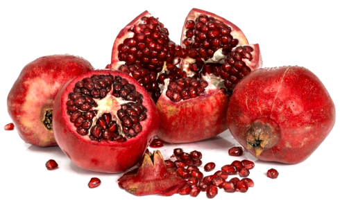 Animal study: pomegranate boosts fertility and testosterone levels in men