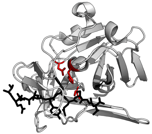 So that's why doping hunters don't find EPO any more