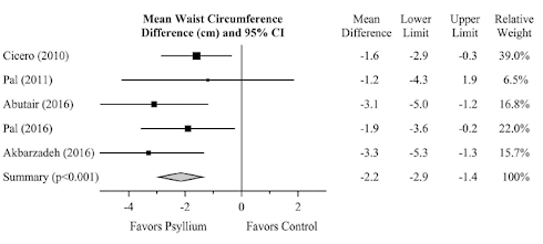 Weight loss through psyllium supplementation | Metastudy