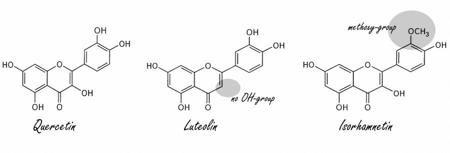 Luteolin, sleep and isorhamnetin