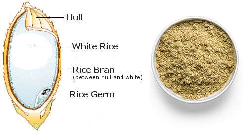 Rice bran stimulates the production of IgA antibodies