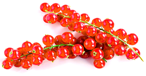 Berries inhibit arteriosclerosis