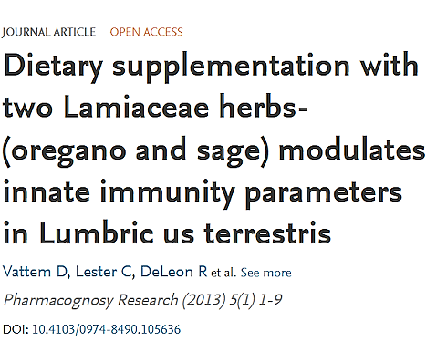 Oregano and sage strengthen innate immunity