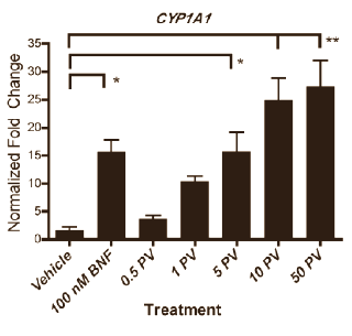 Self-heal extract inhibits estradiol via aryl hydrocarbon receptor
