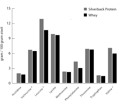 Animal study: plant-based proteins with bad amino acid profile make you fatter