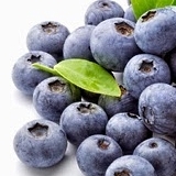 Adding salmon, green tea, onions, blueberries and grape juice to diet may improve sports performance