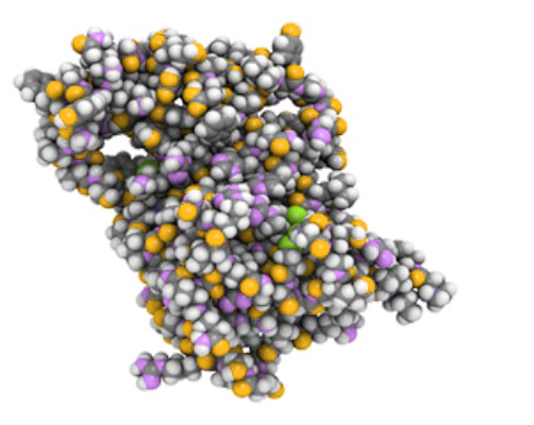 Squats create a stronger anabolic stimulus in the body than equally heavy sets on a leg press machine. Sports scientists from the University of North Texas report on this in the Journal of Strength and Conditioning Research. The Texans discovered that bodybuilders synthesise more growth hormone and testosterone after a squat session than after a session on a leg press machine.