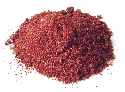 Sumac (Rhus coriaria) extract accelerates the aging of breast cancer cells