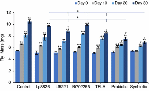 Combination of probiotics and Ayurvedic preparation prolongs life of fruit fly by sixty percent