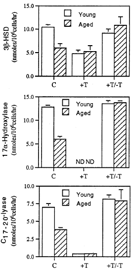Animal study: continuous steroid use keeps testes young