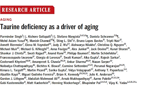 Fifty scientists after a decade of research: taurine may be an anti-aging drug