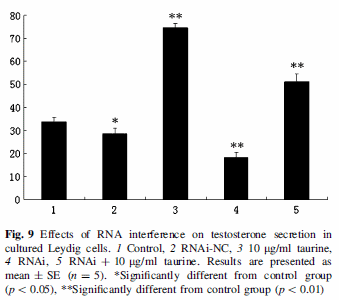 Taurine doubles testosterone level: animal study