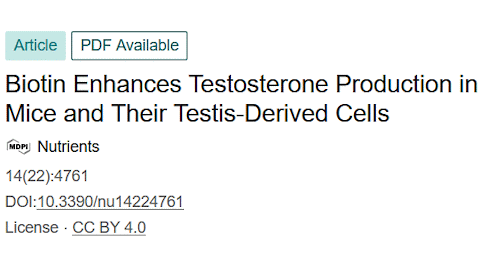 Heavy dose of biotin for more testosterone | Animal study