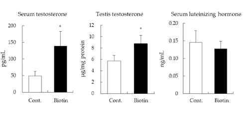 Heavy dose of biotin for more testosterone | Animal study