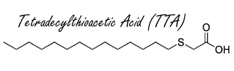 Tetradecylthioacetic Acid, a weird fat burner