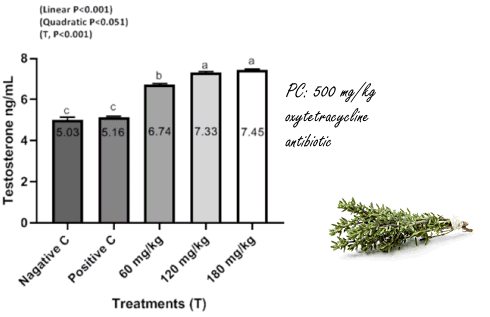 Animal study | Thyme oil increases testosterone levels