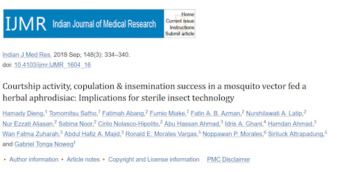 Tongkat Ali boosts mosquito sexuality