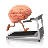 Little bit of physical activity protects the brain against hereditary form of Alzheimer's