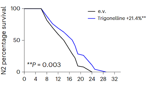 Trigonelline keeps you fit and strong as the years go by