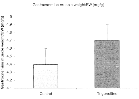 Trigonelline as a natural anabolic agent - also for young people