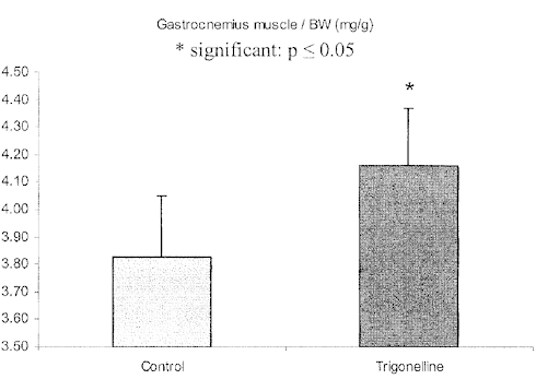 Trigonelline as a natural anabolic agent - also for young people
