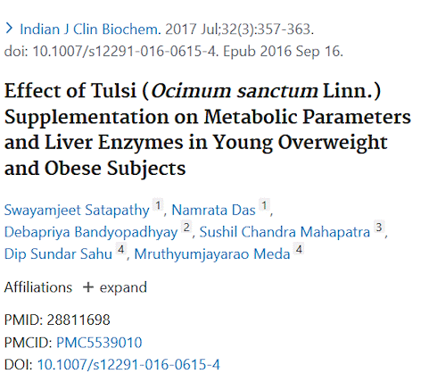 Overweight yet healthy | The metabolic effects of tulsi