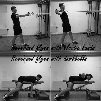 Flyes and reverse flyes: an elastic band instead of dumbbells