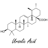 A little bit of physical activity improves body composition in combination with ursolic acid