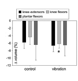Vibration training doesn't help muscle retention