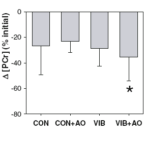 Muscles use up ATP quicker on vibration plate