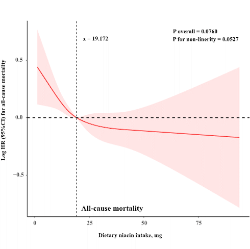 High intake of vitamin B3 may make you live longer
