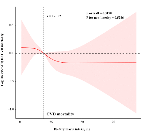High intake of vitamin B3 may make you live longer