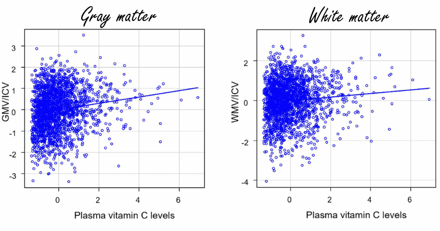 Vitamin C inhibits age-related brain shrinkage