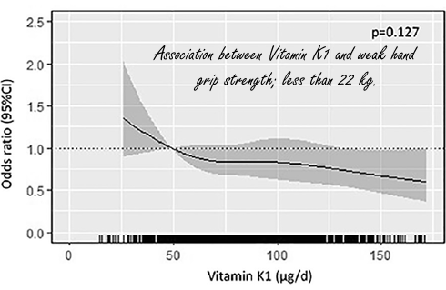 High intake of vitamin K1 keeps bones strong (and muscles too)