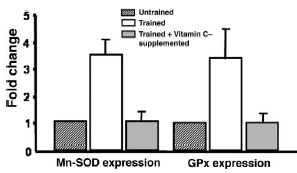 Vitamin C negates effects of endurance training