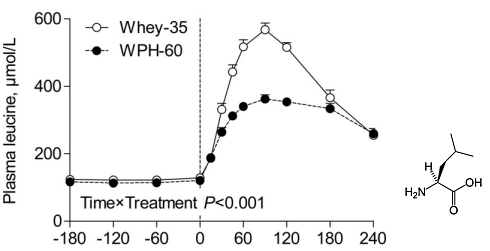It's possible: building muscles with wheat protein