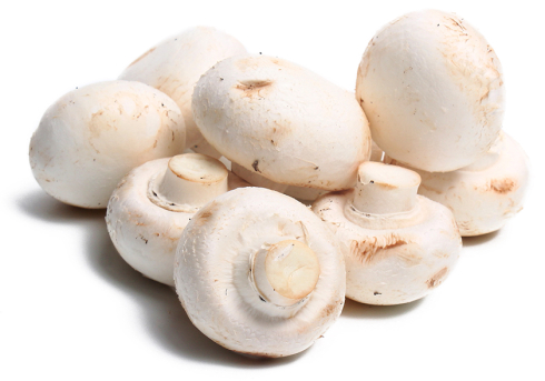 How white button mushrooms might take the sting out of diabetes and delay aging