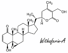Withaferin-A, an anti-estrogen (and maybe also an anabolic) in ashwagandha